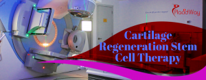 Cartilage Regeneration Stem Cell Therapy