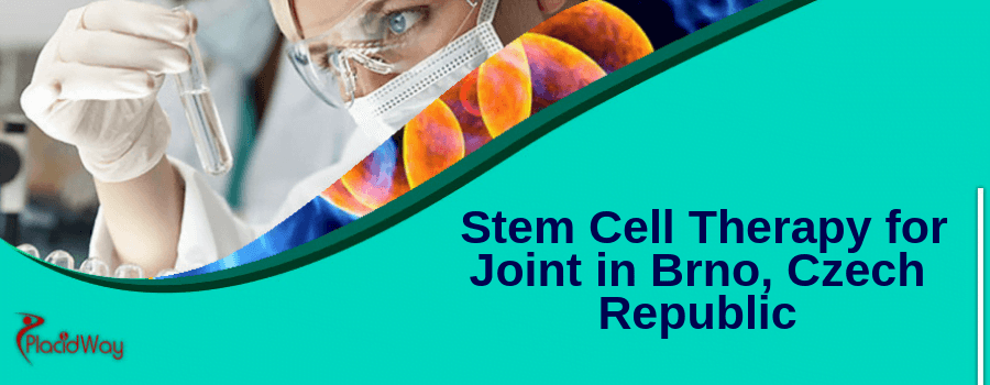 Stem Cell Therapy for Joint in Brno, Czech Republic