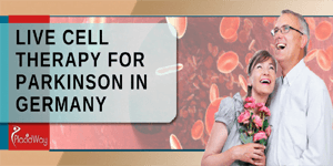 Packages for Stem Cell Therapy for Anti Aging Solutions in Lenggries Germany