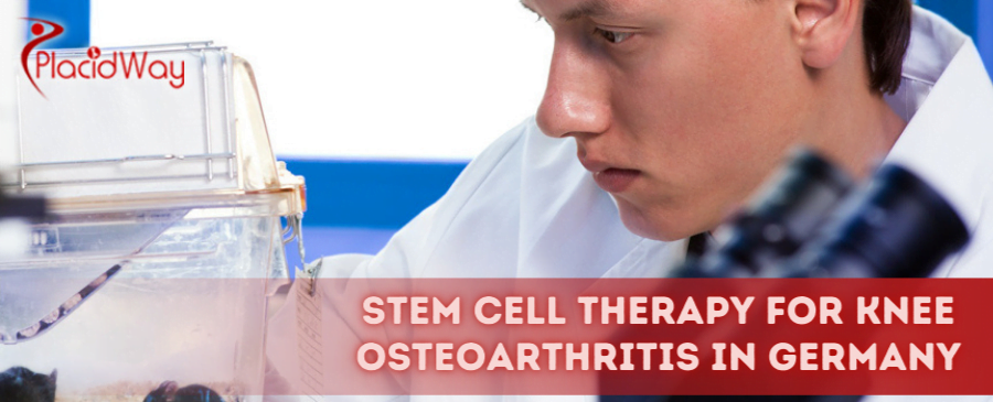 Stem Cell Therapy for Knee Osteoarthritis in Germany