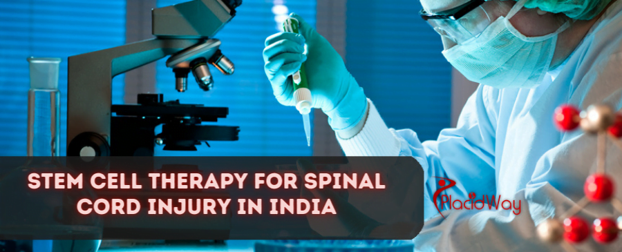 Stem Cell Therapy for Spinal Cord Injury in India