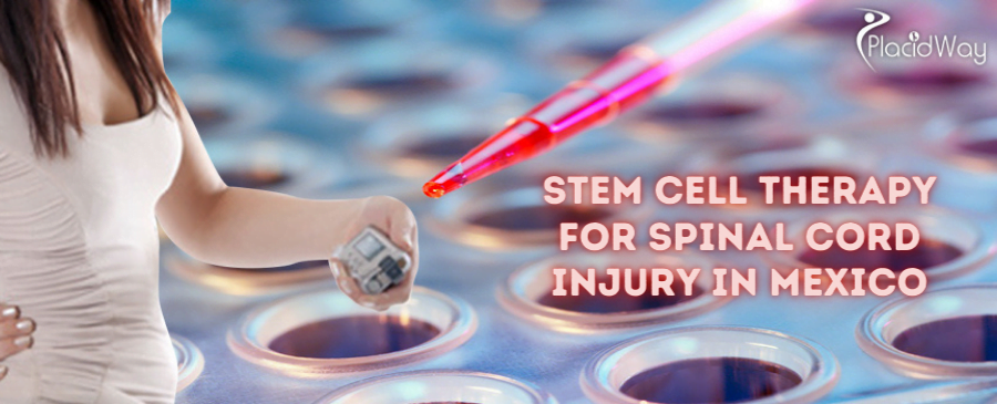 Stem Cell Therapies for Spinal Cord Injury