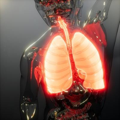 Stem Cell Therapy for Organ Defects