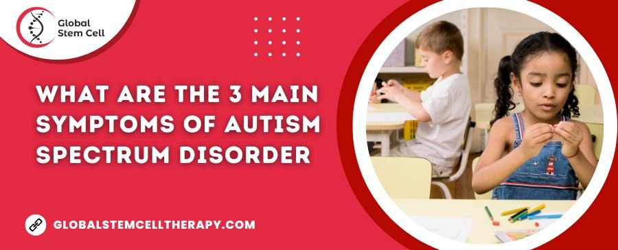 3 Main Symptoms of Autism Spectrum Disorder