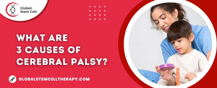 What are 3 causes of Cerebral Palsy?