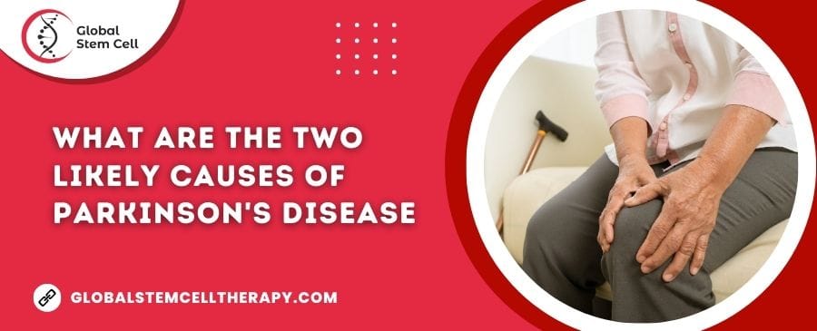 what are the two likely causes of parkinson's disease