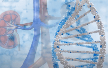 Stem Cell Therapy for Kidney Disease