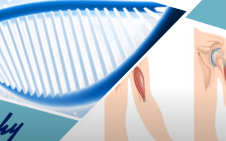 Stem Cell Therapy Treatment for Muscular Dystrophy