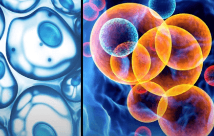 Stem Cell Treatment for Autoimmune Diseases