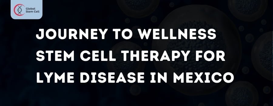 Stem Cell Therapy for Lyme Disease in Mexico