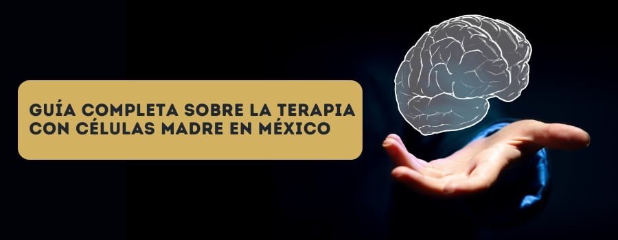 Guía completa sobre la terapia con células madre en México