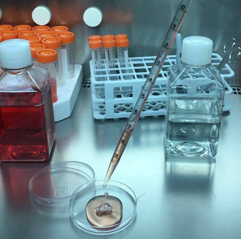 Instituto De Terapia Celular Stem Cell Guadalajara Mexico Image 3 Instituto de Terapia Celular - Stem Cell Clinic in Guadalajara, Mexico