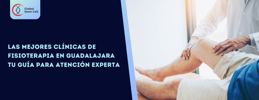 Las Mejores Clínicas de Fisioterapia en Guadalajara Tu Guía para Atención Experta