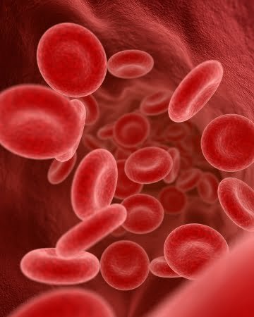 Stem Cell Therapy for Blood Disorder