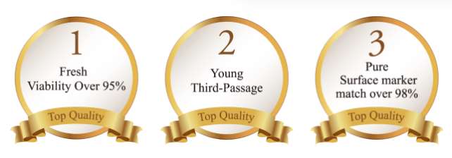 Image 4 Cell Grand Clinic - Regenerative Medicine