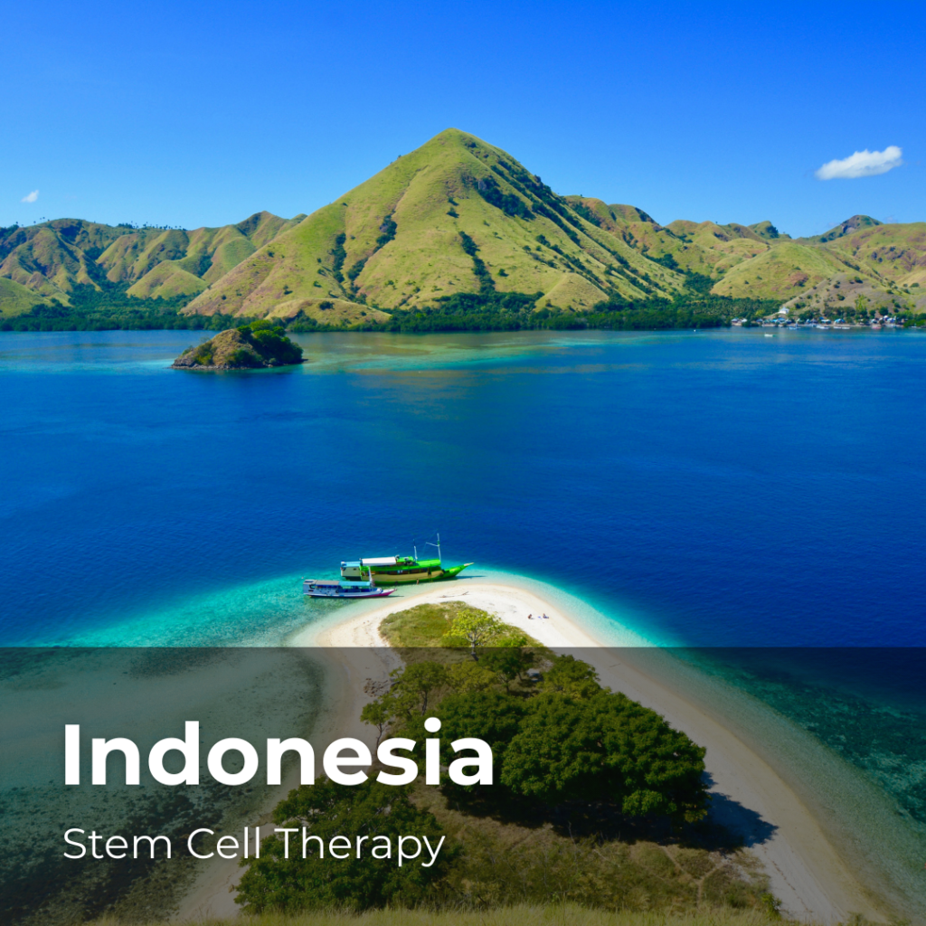 Stem Cell Therapy in Indonesia