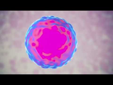 Hqdefault 18 Advanced Stem Cell Therapy Procedure in Monterrey, Mexico: A New Era in Healing