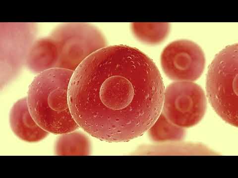 Hqdefault 22 Stem Cell Therapy for Osteoarthritis and Joint Preservation in USA – Non-Surgical Hope
