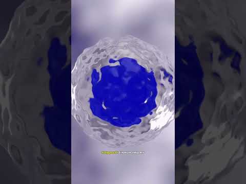 Hqdefault 82 Biggest Misconceptions About Stem Cell Therapy in Bangkok Thailand Explained by EDNA Wellness