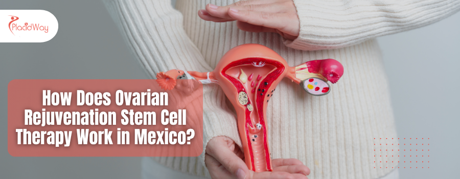 Ovarian Rejuvenation in Mexico: How Stem Cell Therapy Works