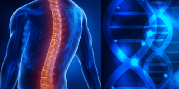 Stem Cell Treatment for Spinal Cord Injuries