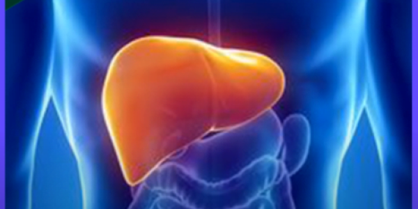Stem Cell Treatment for Liver Diseases