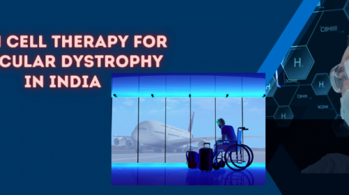 Muscular Dystrophy Treatment Stem Cell