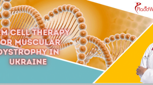 Muscular Dystrophy Treatment by Stem Cell Therapy
