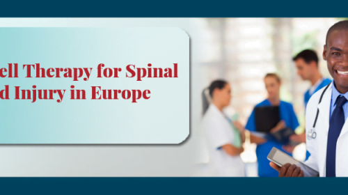 Stem Cell Therapy for Spinal Cord Injury in Europe