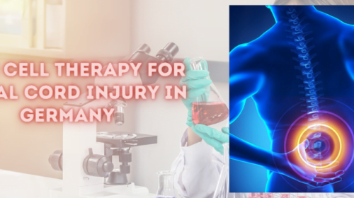 Stem Cell Therapy for Spinal Cord Injury in Germany