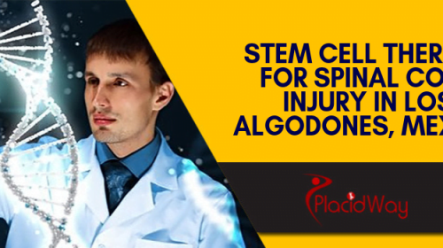 Stem Cell Therapy for Spinal Cord Injury in Los Algodones, Mexico