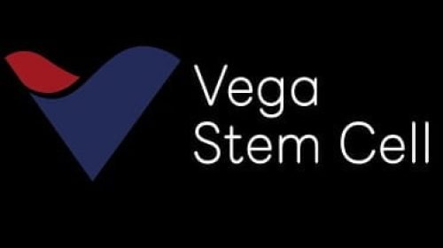 vega stem cell clinic