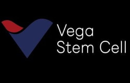 vega stem cell clinic